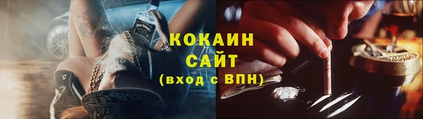 винт Верея