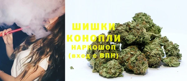 винт Верея